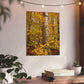 Autumn Nature Wall Art, Metal Print of Birch Tree, Rustic Home Decor, Fall Decoration, Woodland Photography, Nature Lover Gift