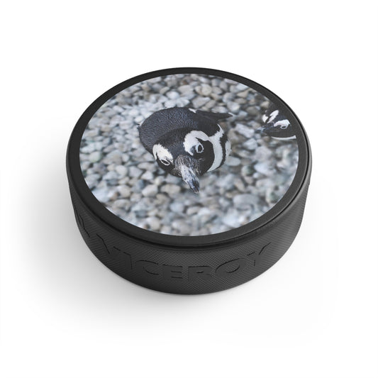 Hockey Puck