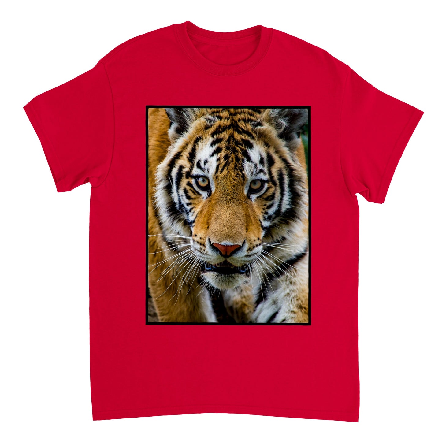 Heavyweight Unisex Crewneck T-shirt