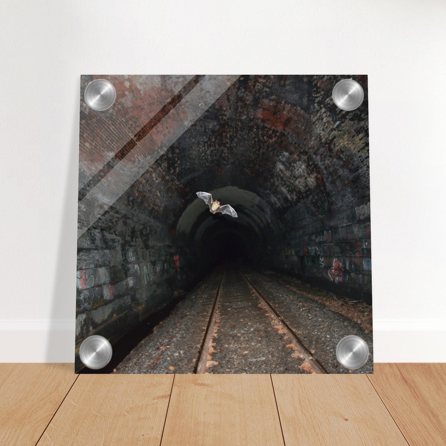 Bat In a Tunnel Acrylic Print