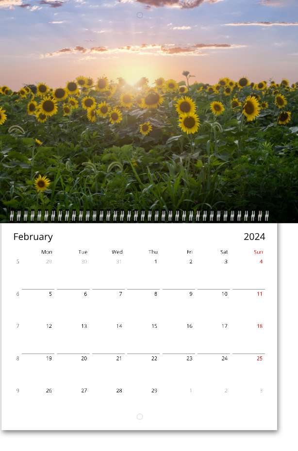 Wall calendars Sunflowers