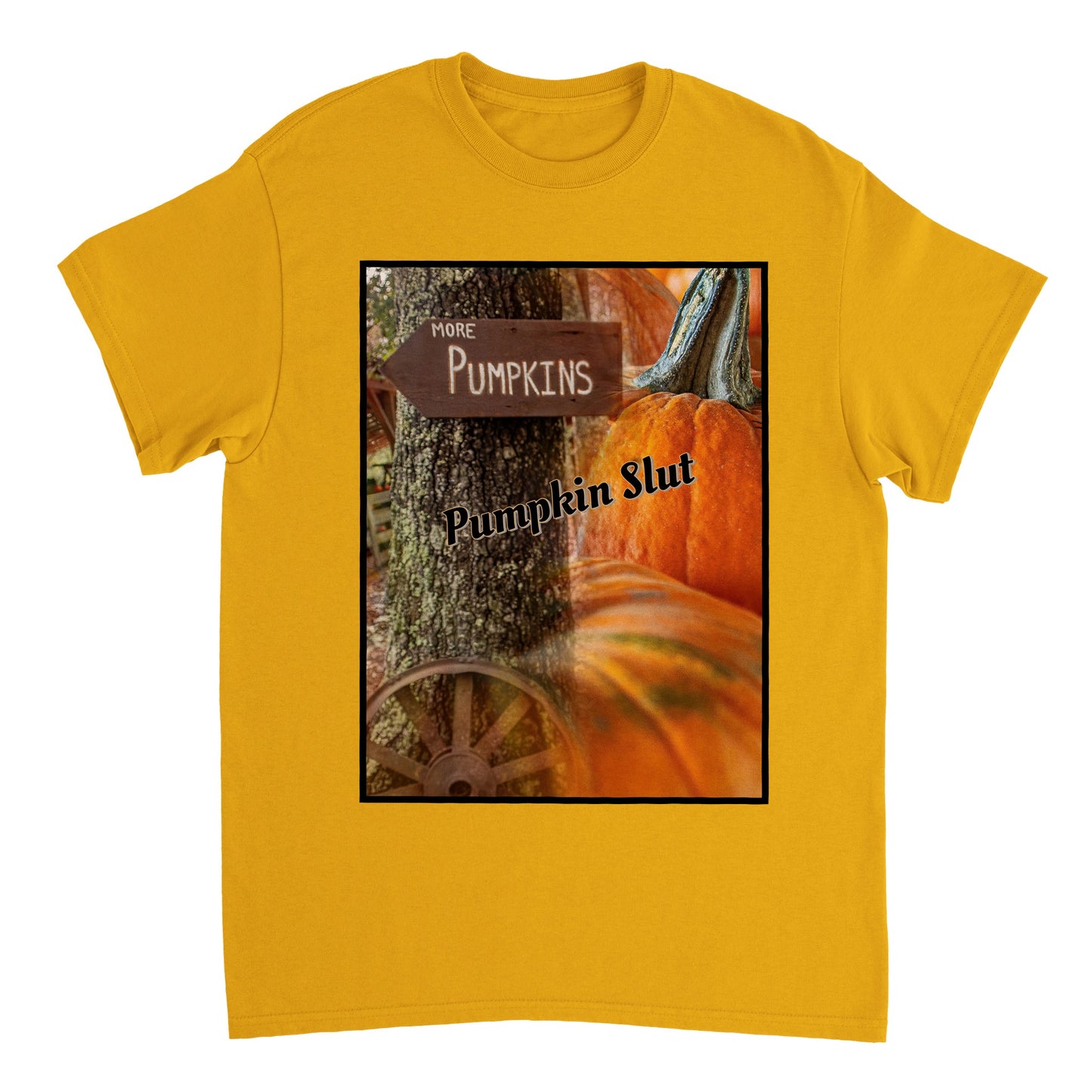 Heavyweight Unisex Crewneck T-shirt