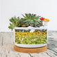 Sunflowers Flowerpot
