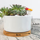 Sunflowers Flowerpot