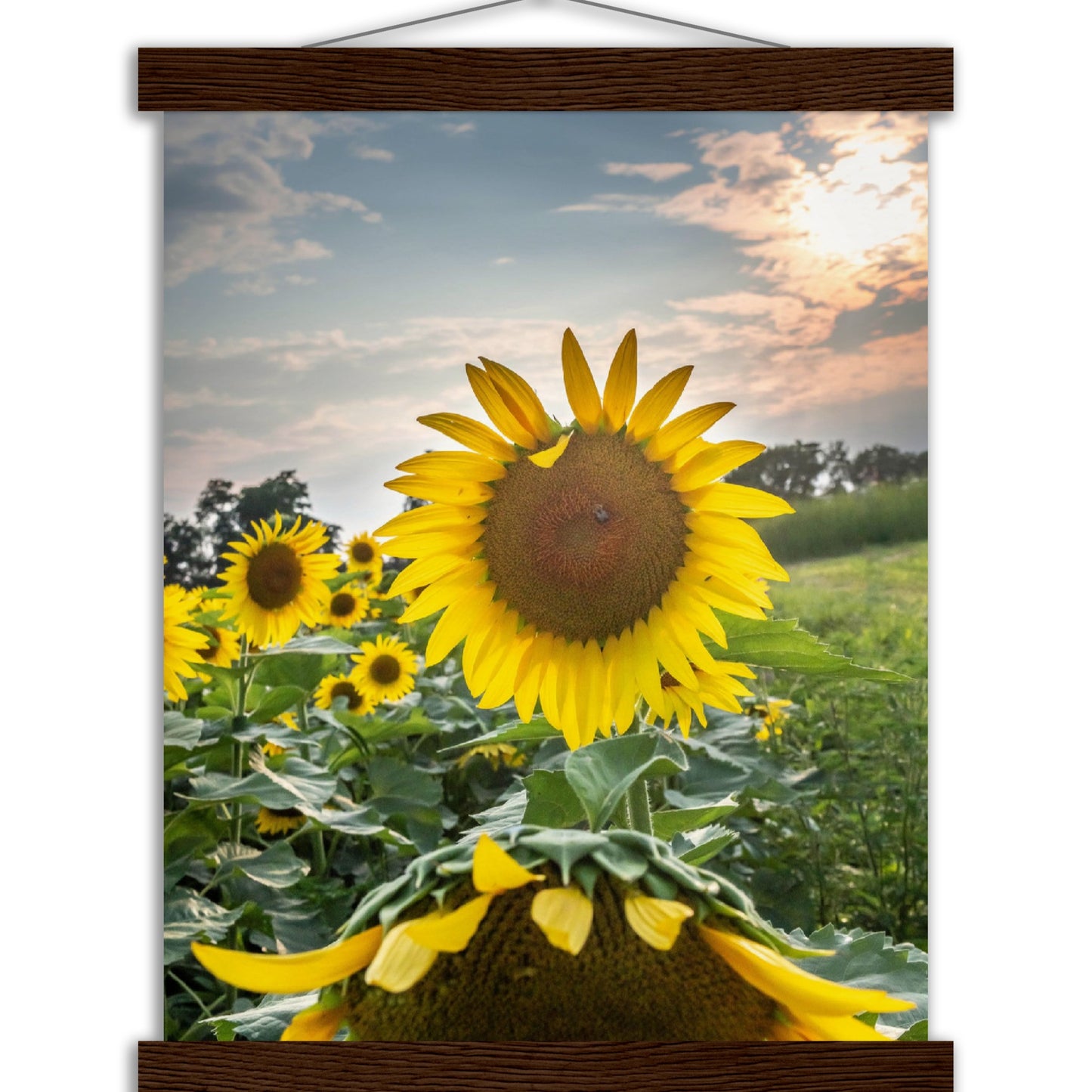 Museum-Quality Matte Paper Poster with Hanger